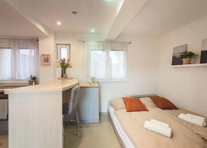 With An Old Town View * Μπρατισλάβα